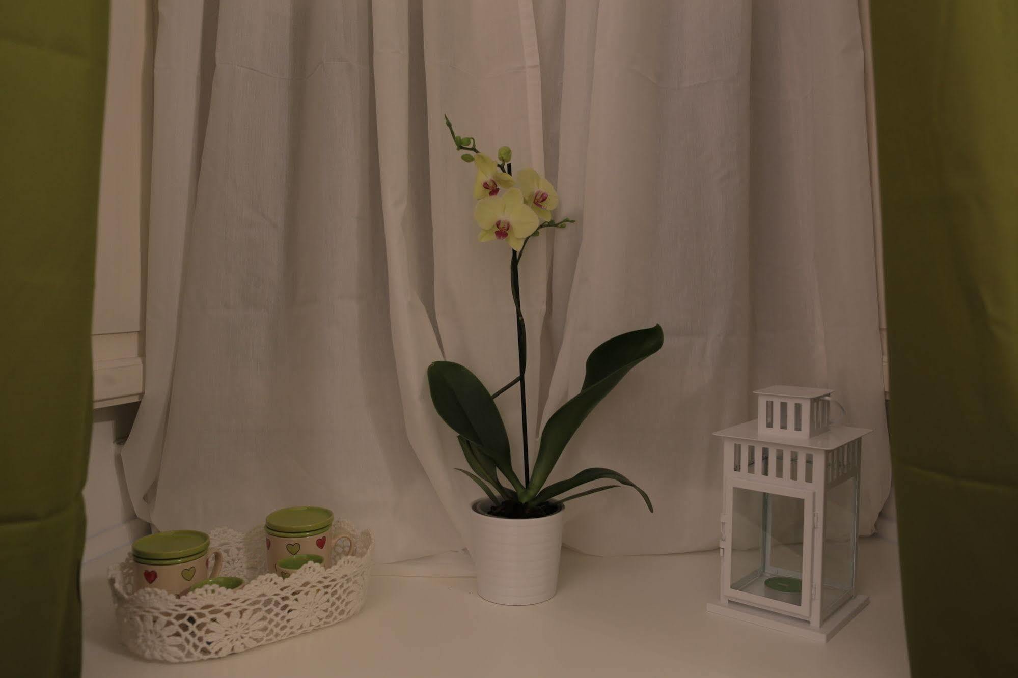 Domus Horatio Bed & Breakfast Rome Bagian luar foto